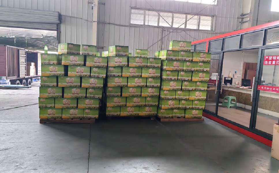 溫州到陜縣物流公司